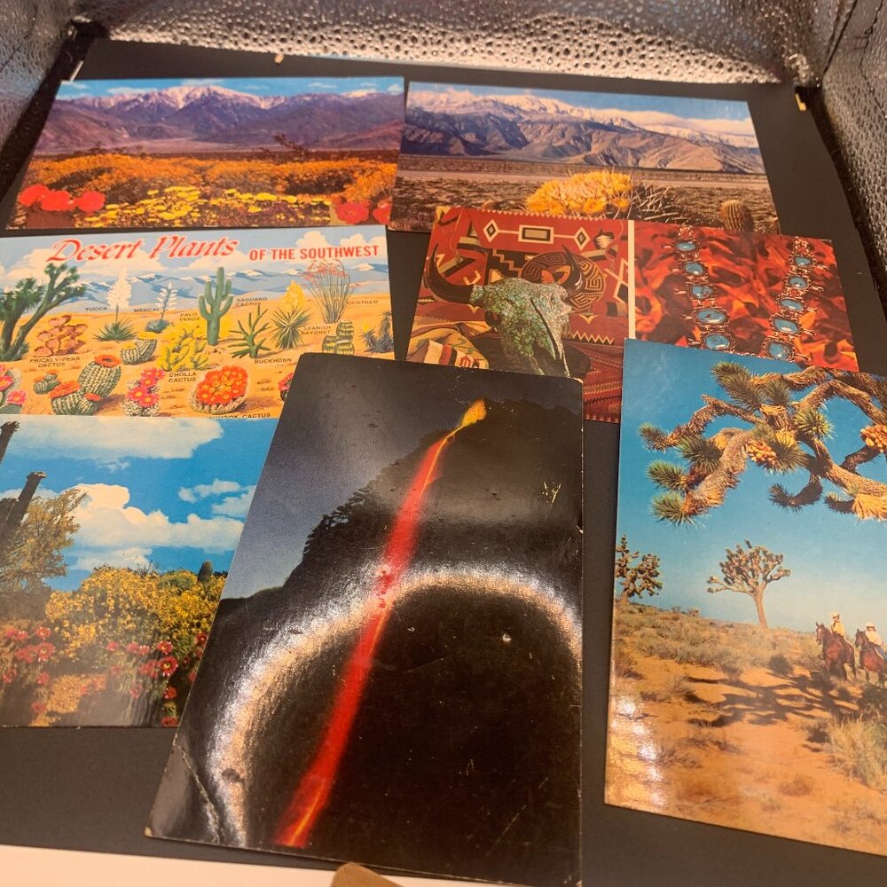 Lot of 7 Vintage Desert , Plant Post cards SELLING AS IS